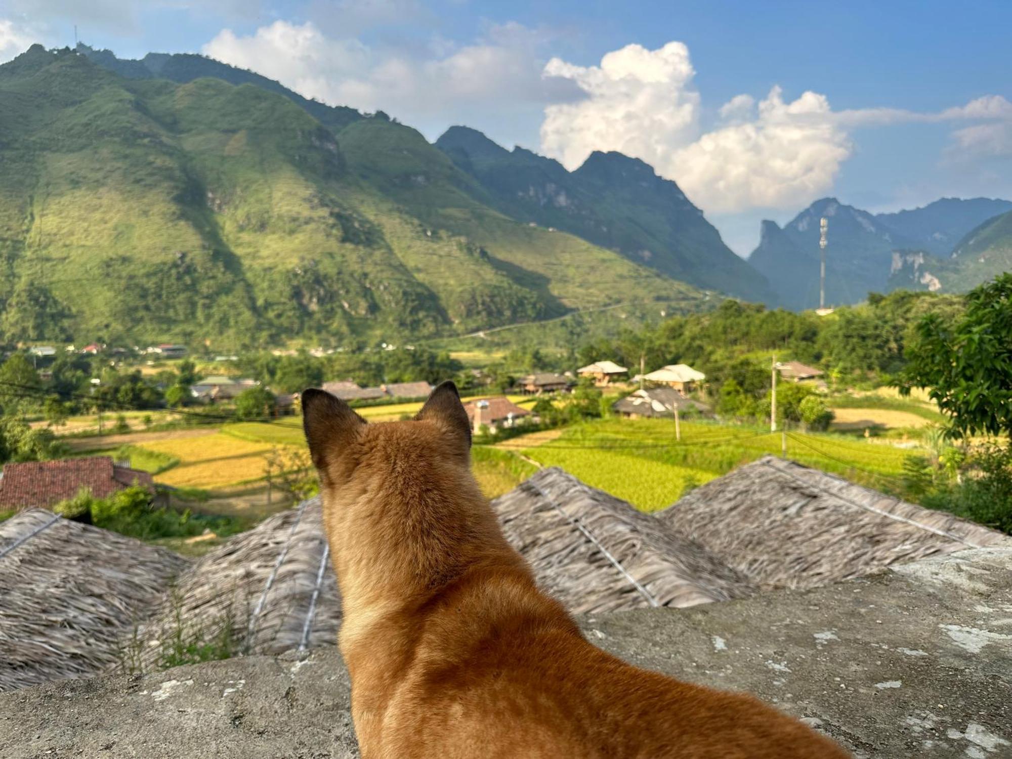 Du Gia Cozy Homestay & Tours Làng Cac Exteriör bild