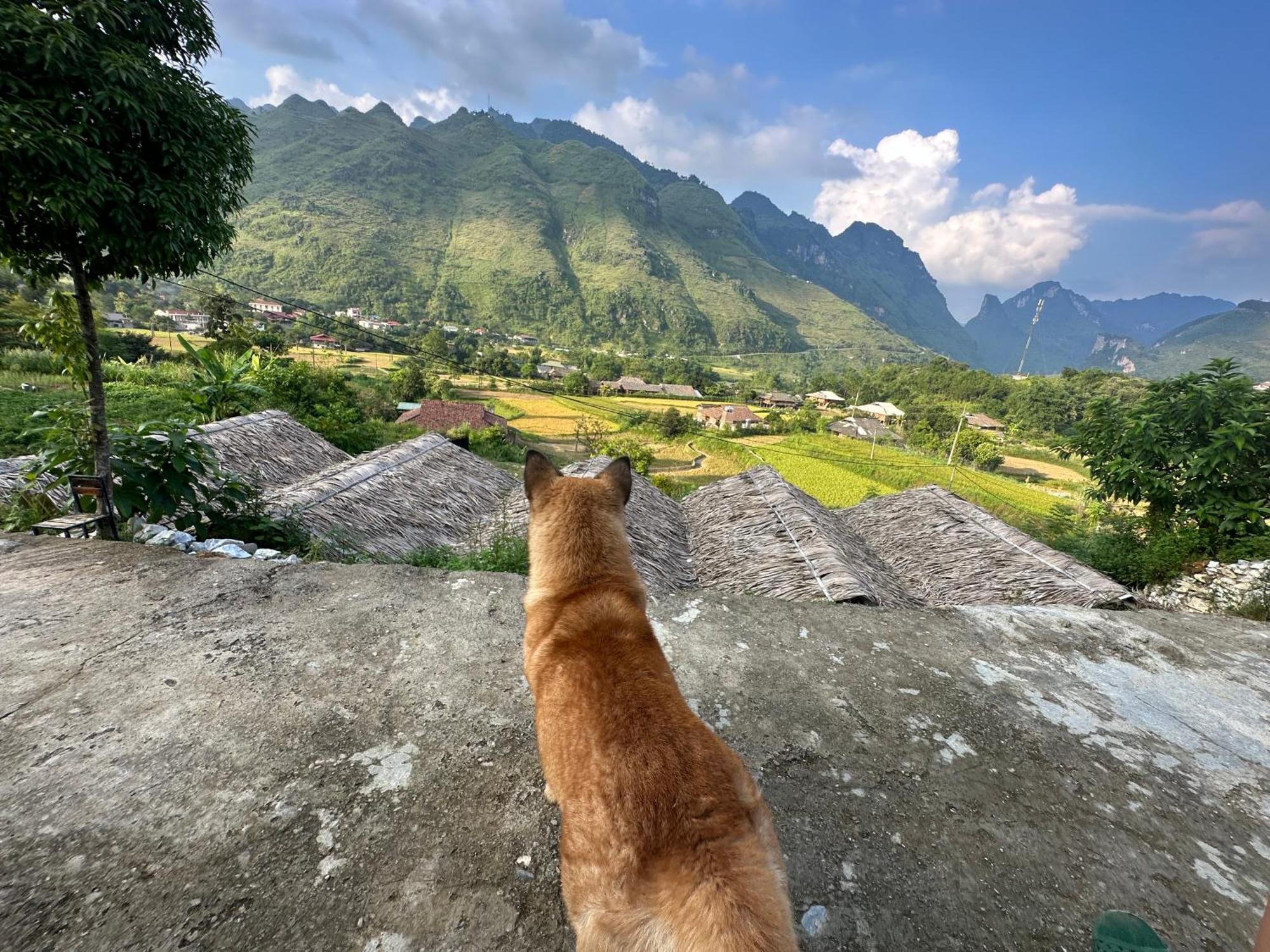 Du Gia Cozy Homestay & Tours Làng Cac Exteriör bild
